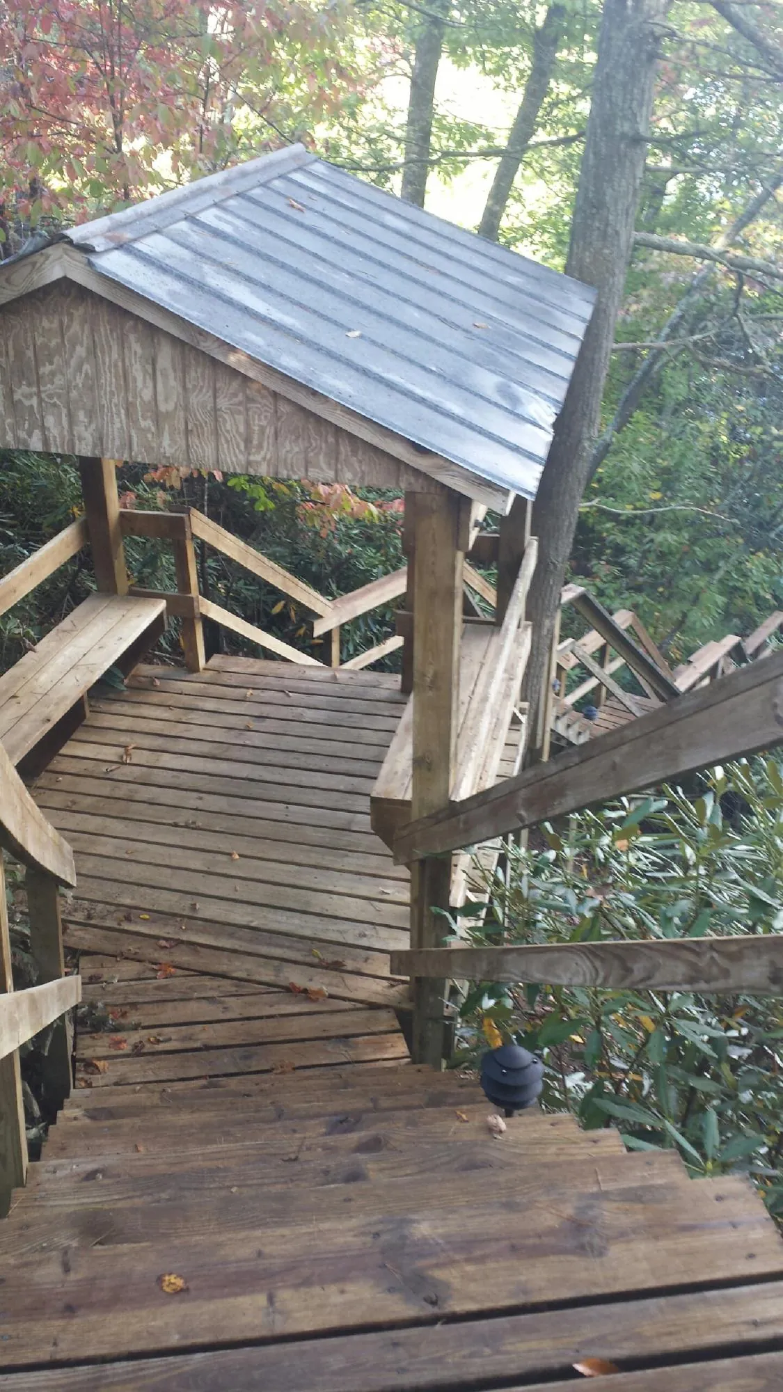 Metal roofed shelter over wooden steps on a wooded walkway — Skylight Repair & Installation work by our crew in Longbranch